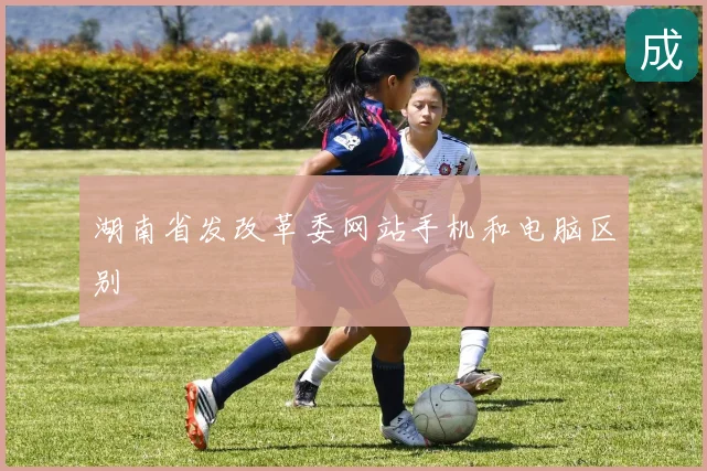 湖南省发改革委网站手机和电脑区别